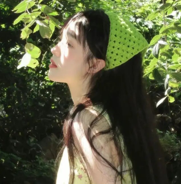 夏日之书2024
